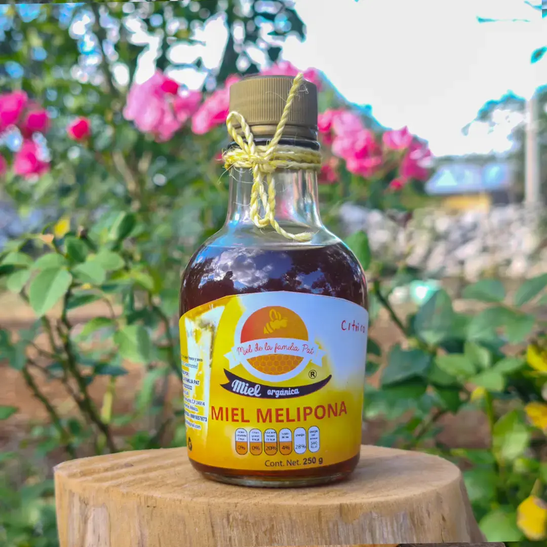 MIEL MELIPONA DE 250 g