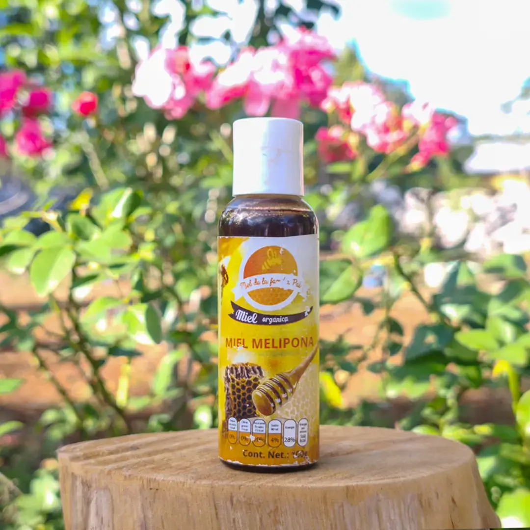 MIEL MELIPONA DE 100 g