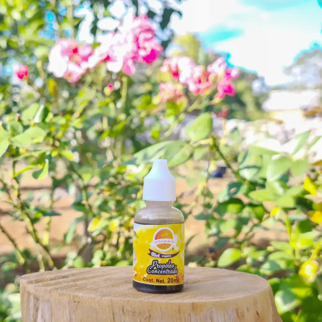 PROPÓLEO CONCENTRADO 20 ml