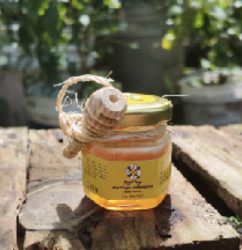 eum iriure dolor in hendrerit in .